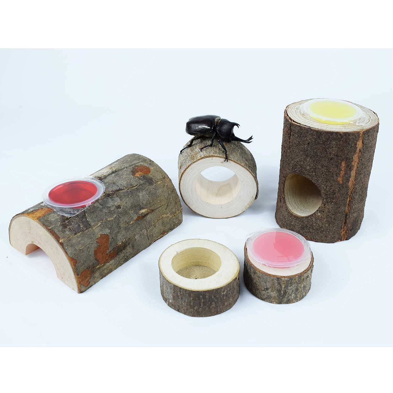 Amazon.co.jp: ゼリーの角皿 カブト虫 クワガタ飼育木 18g昆虫ゼリー用